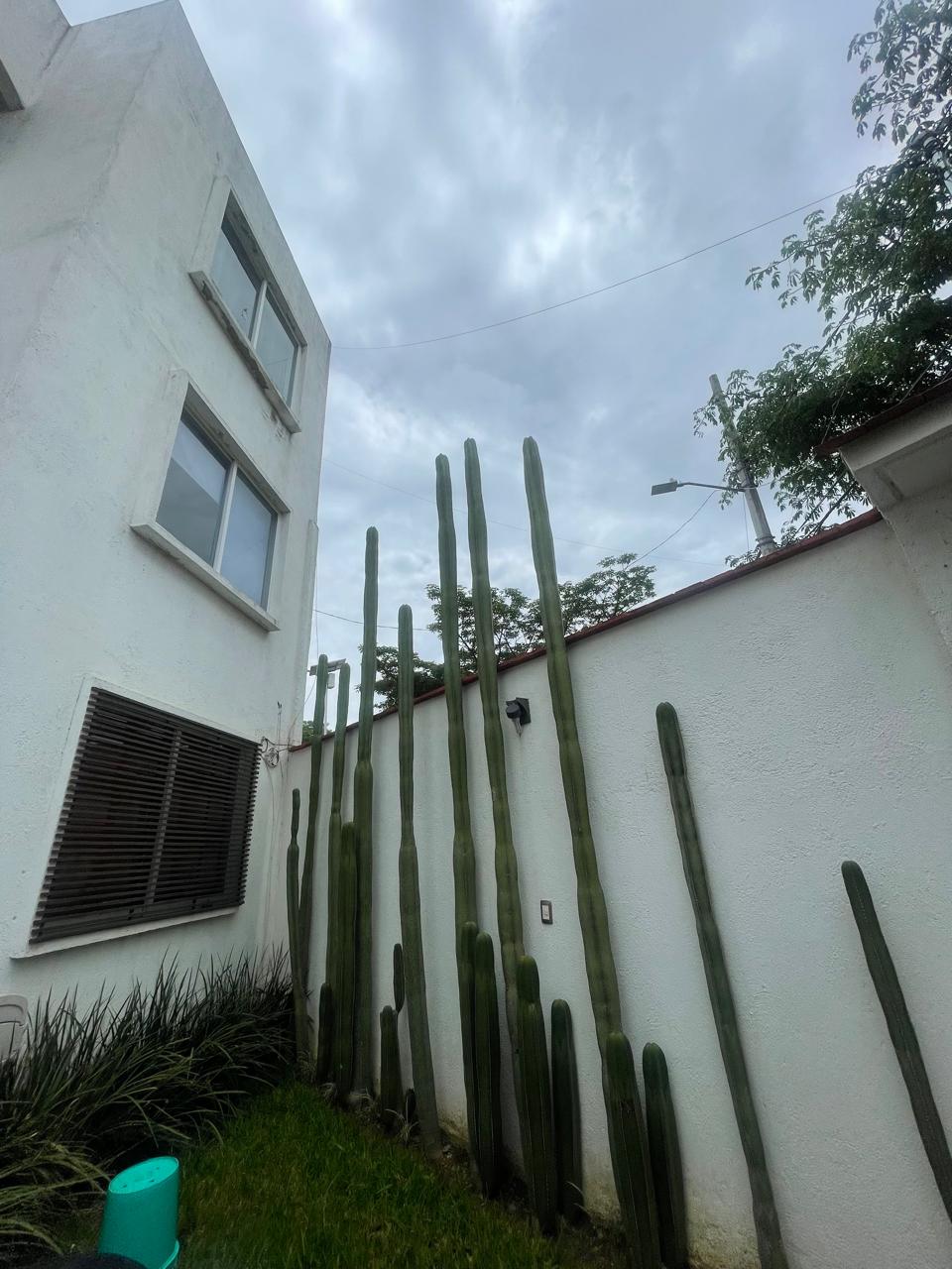 EDIFICIO UNIVERSIDAD