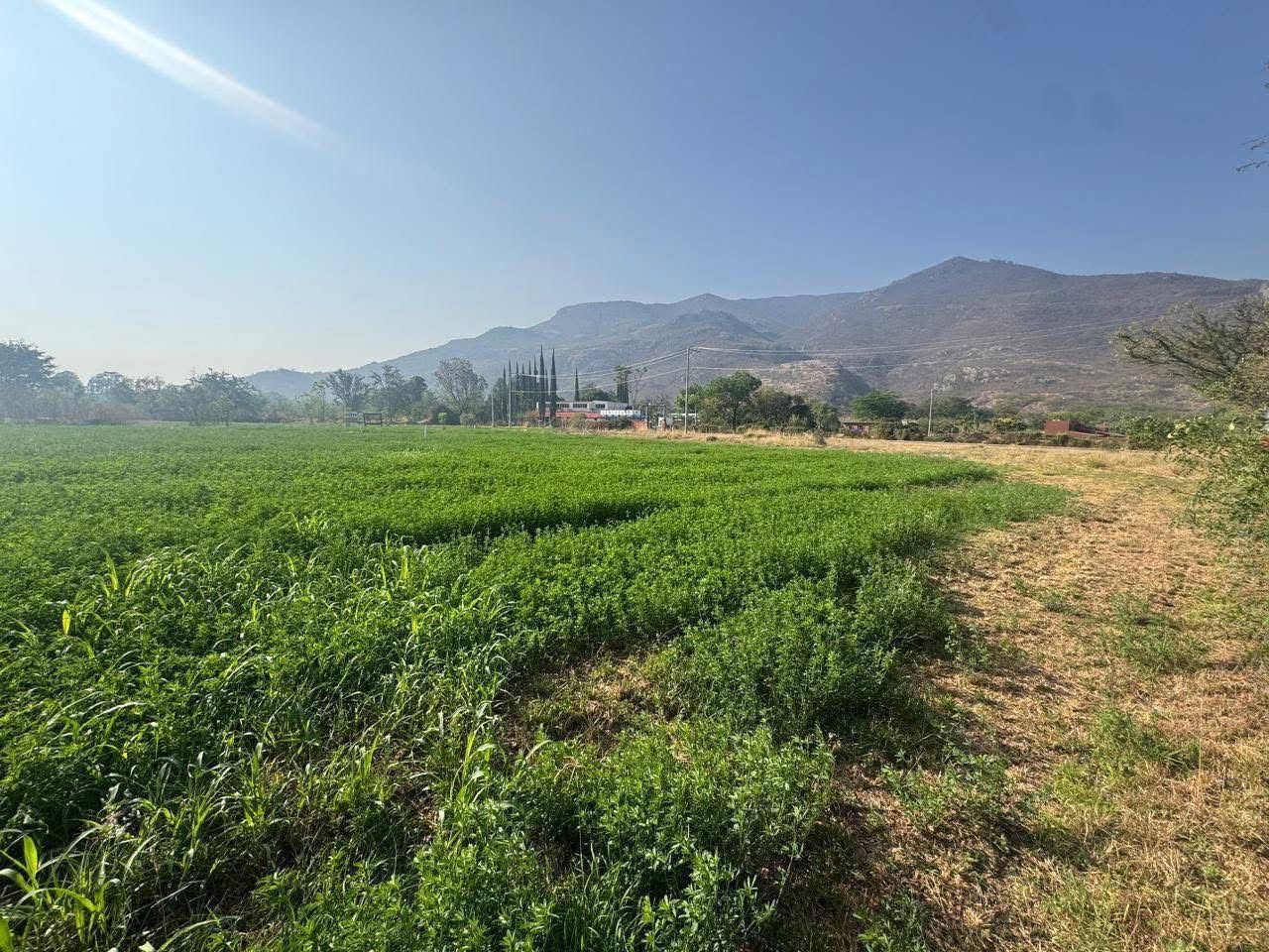 Lotes en Venta en Tlalixtac de Cabrera