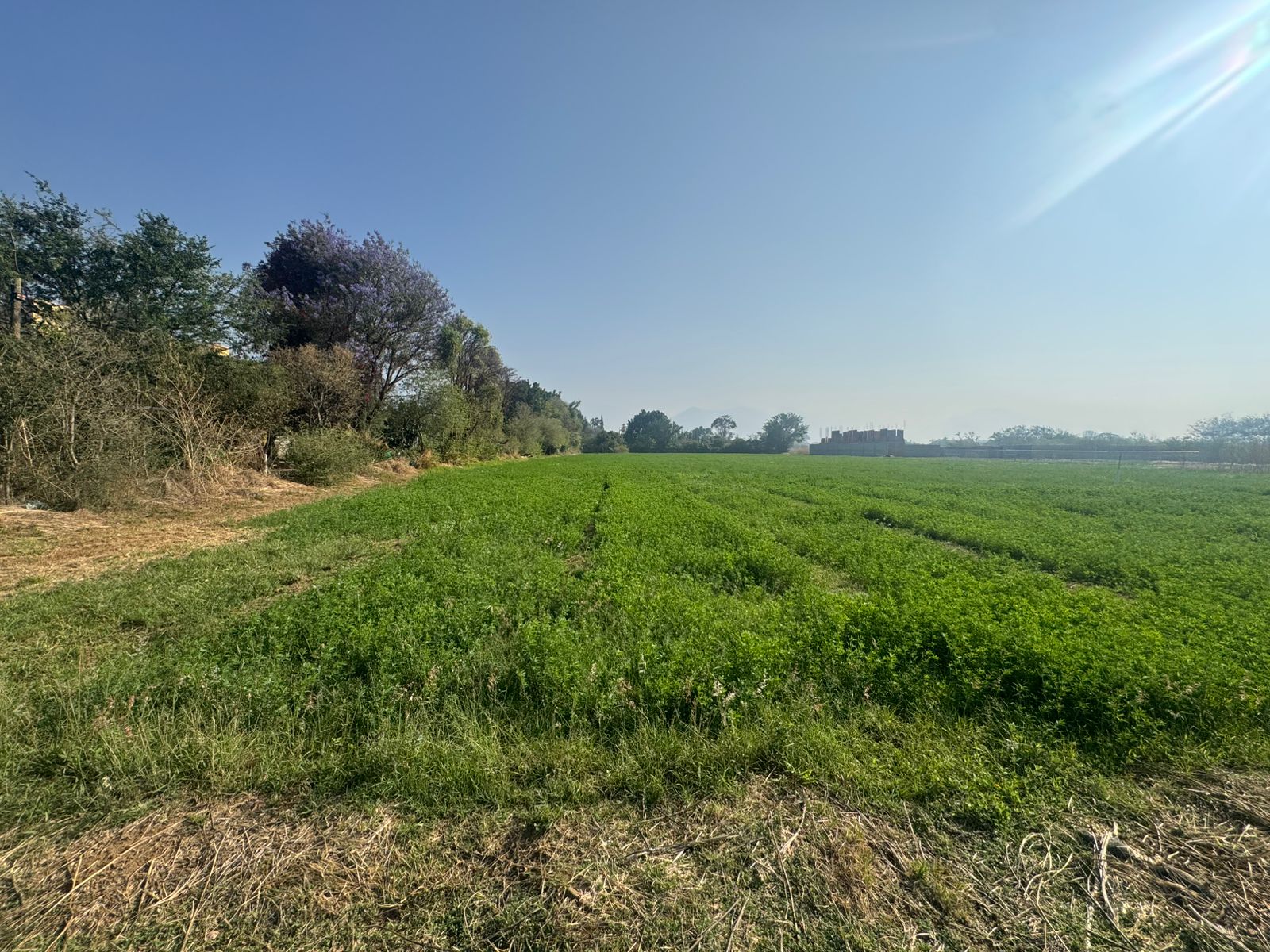 Lotes en Venta en Tlalixtac de Cabrera