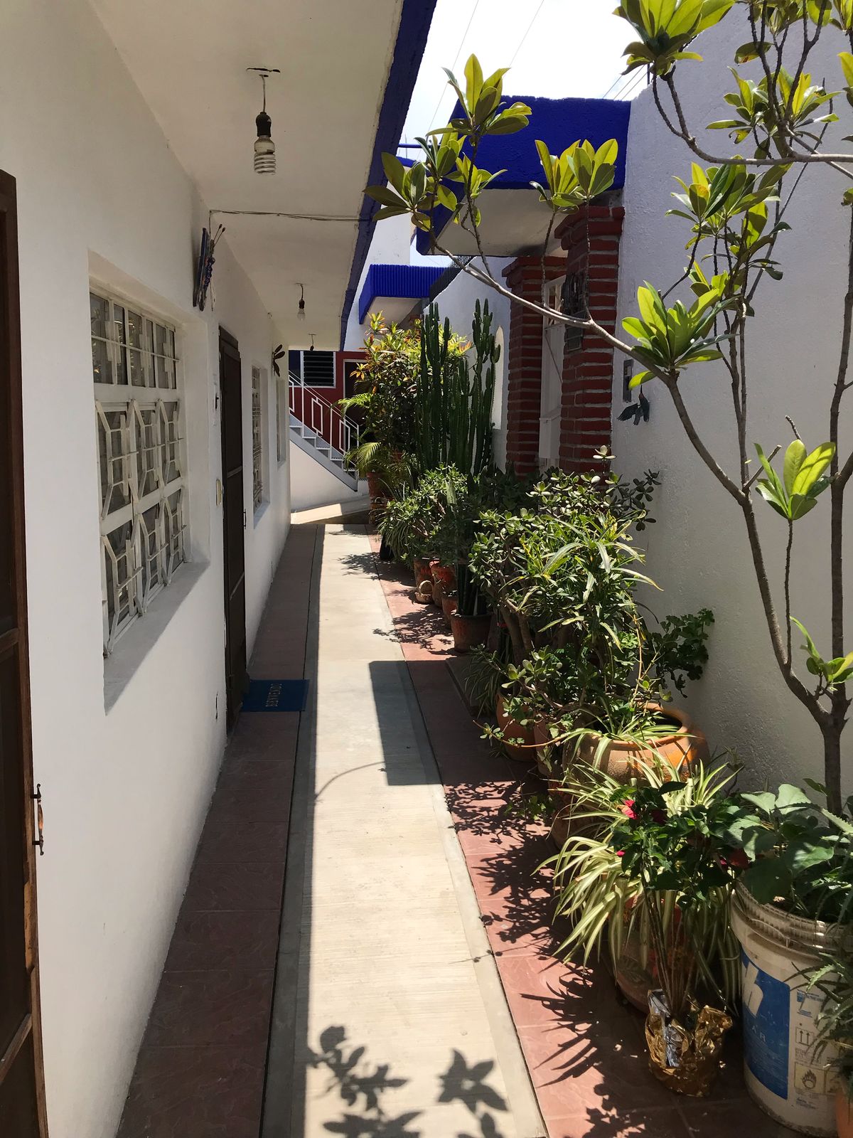 CASA DUPLEX INDECO XOXO