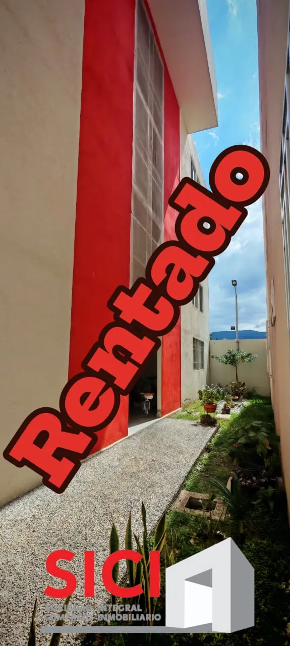 RENTA DEPTO. PEDREGAL XOXO