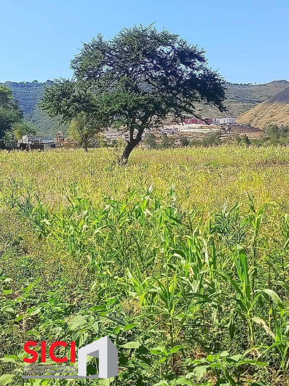 EN VENTA  SIETE LOTES EN LA PRIMERA AMPLIACIÓN XOXO