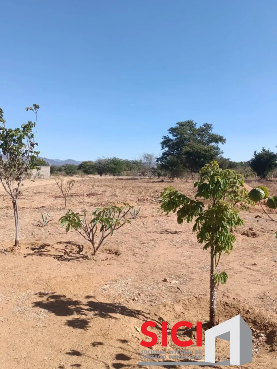 TERRENO EN VENTA EN CUILAPAM DE GUERRERO BARRIO LA TRINIDAD