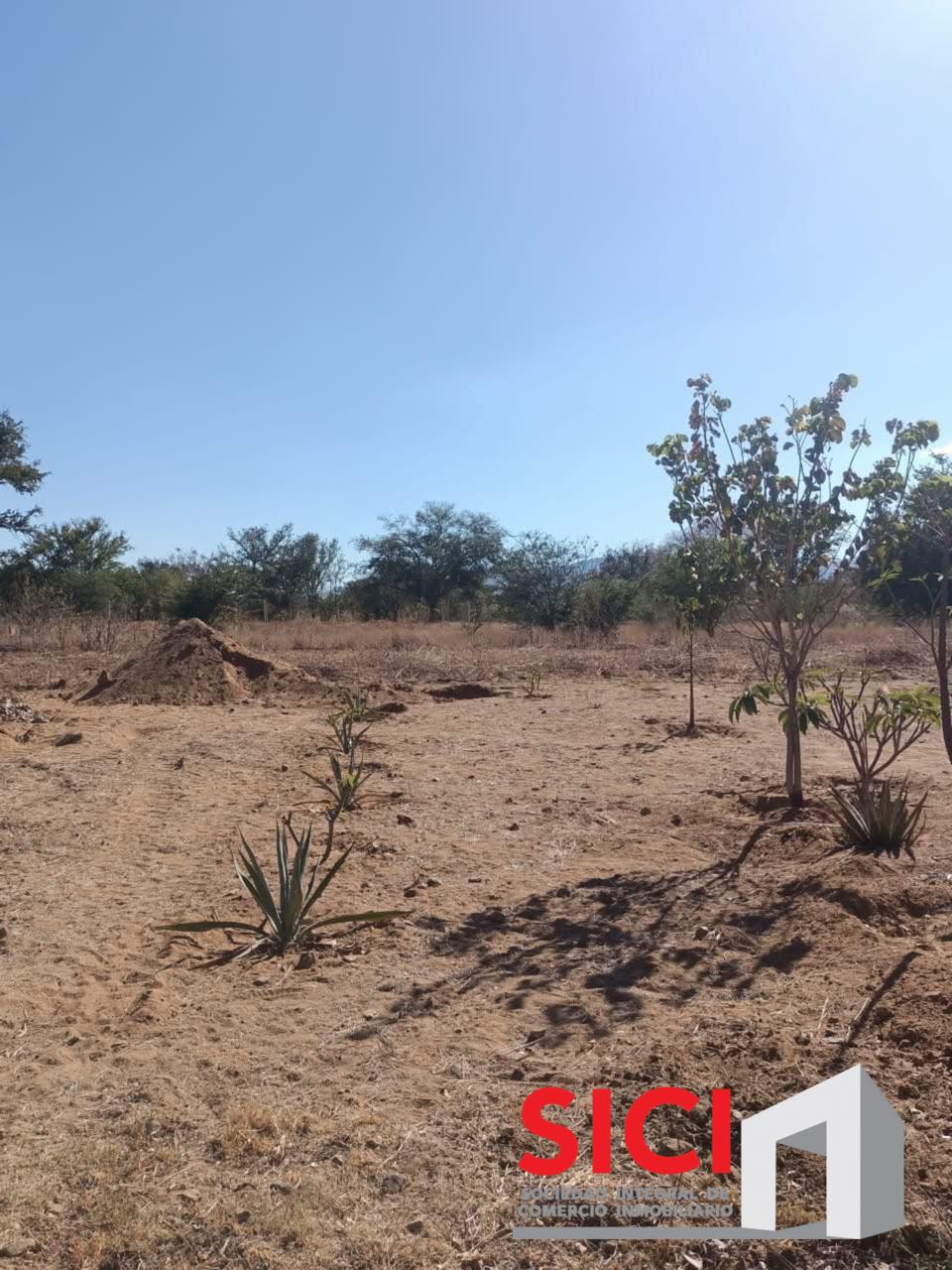 TERRENO EN VENTA EN CUILAPAM DE GUERRERO BARRIO LA TRINIDAD