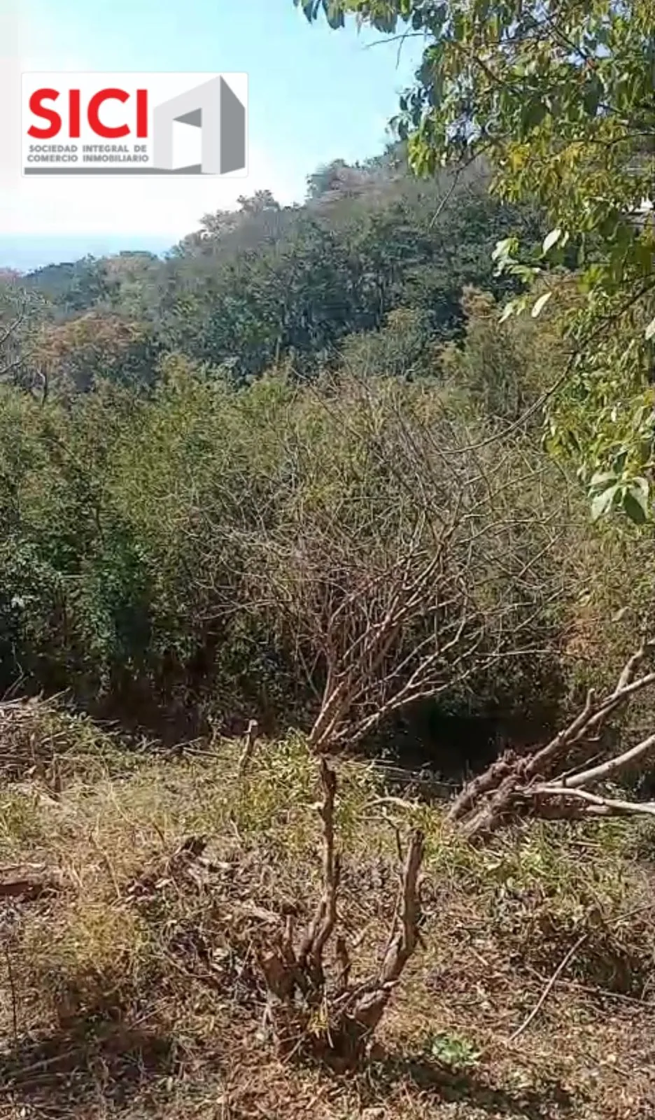 LOTE 1 PLAYA ARAGON TONAMECA