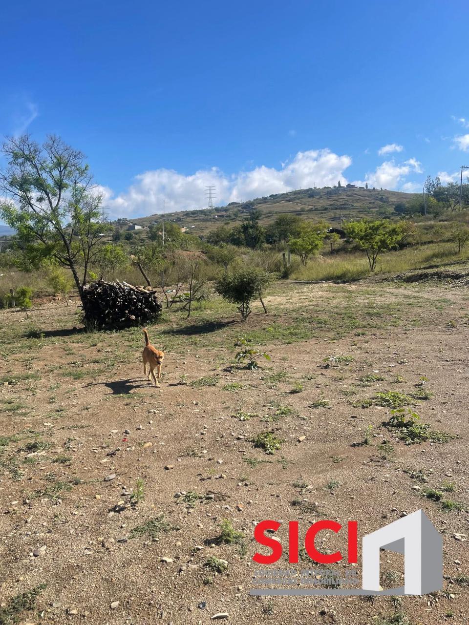 2 LOTES EN VENTA EN LA SEPTIMA ETAPA DE ZAACHILA