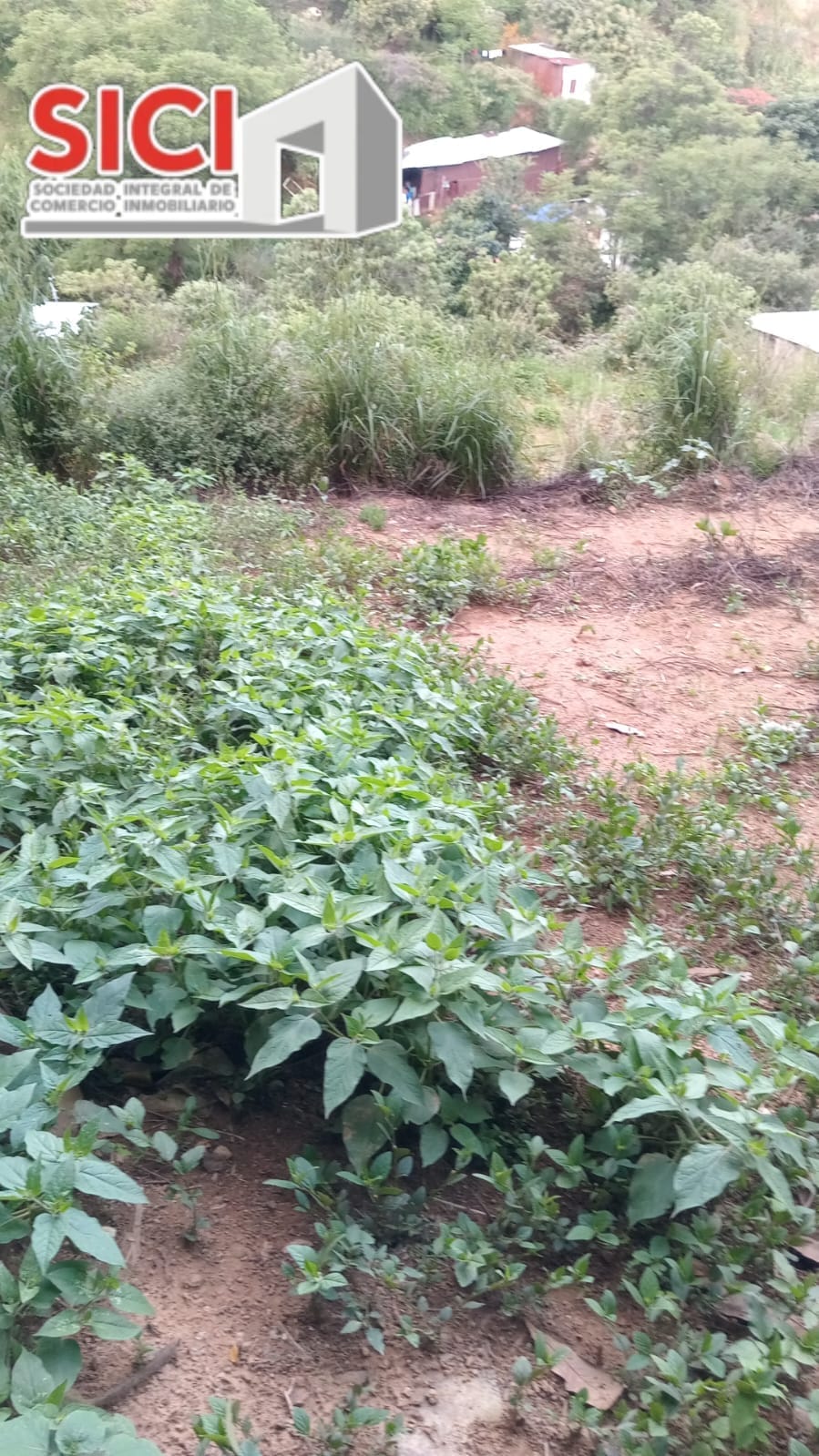 Terreno en Venta en San Luis