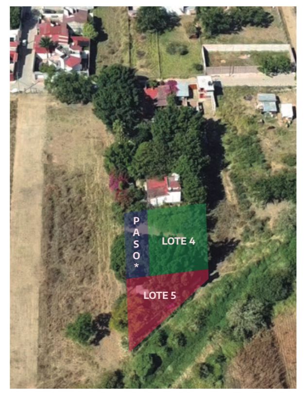 LOTE SAN FRANCISCO