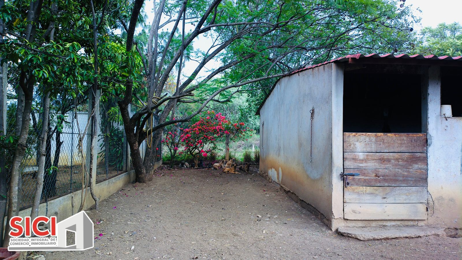LOTE SAN FRANCISCO