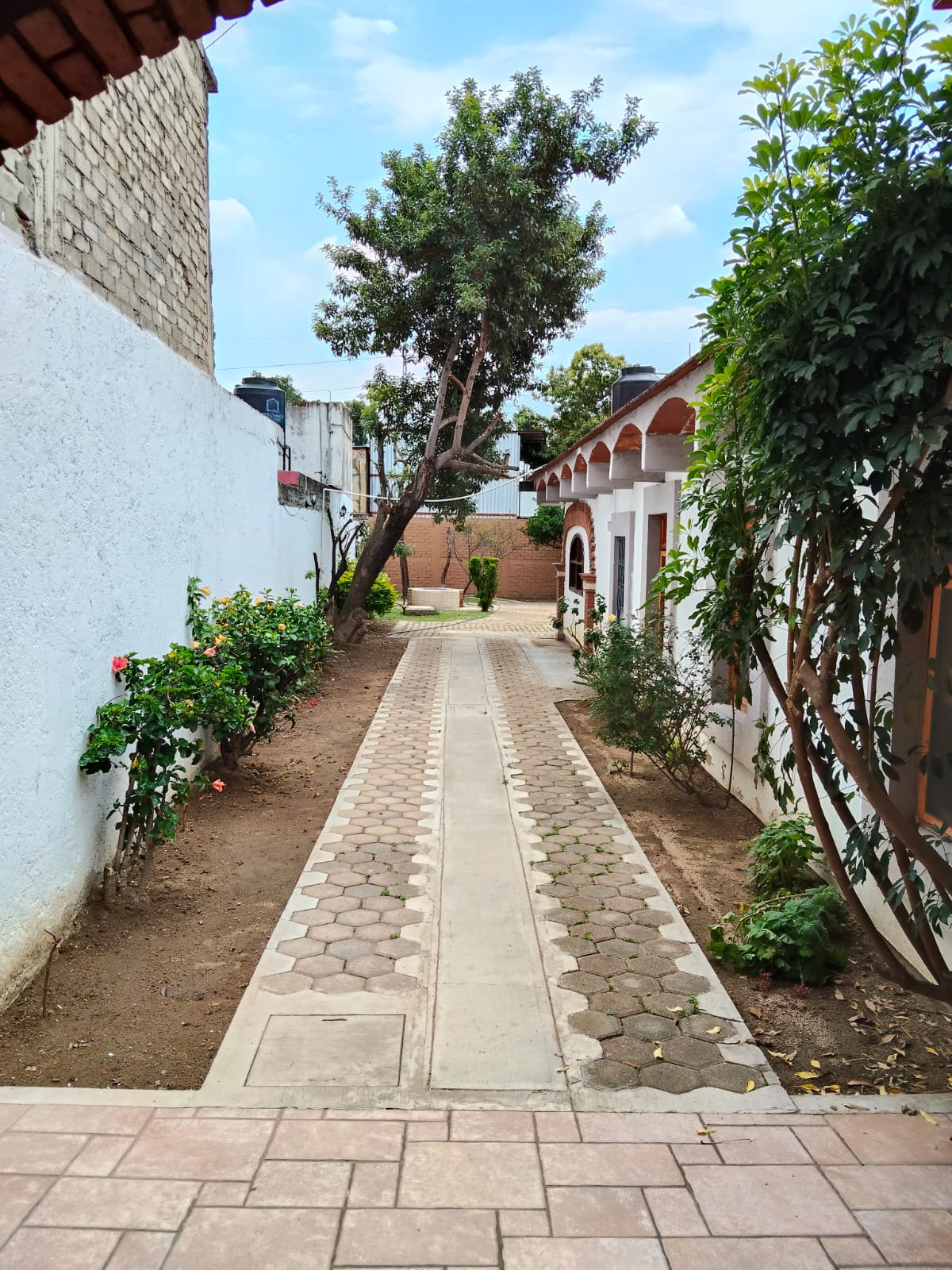 FINCA SANTA LUCIA