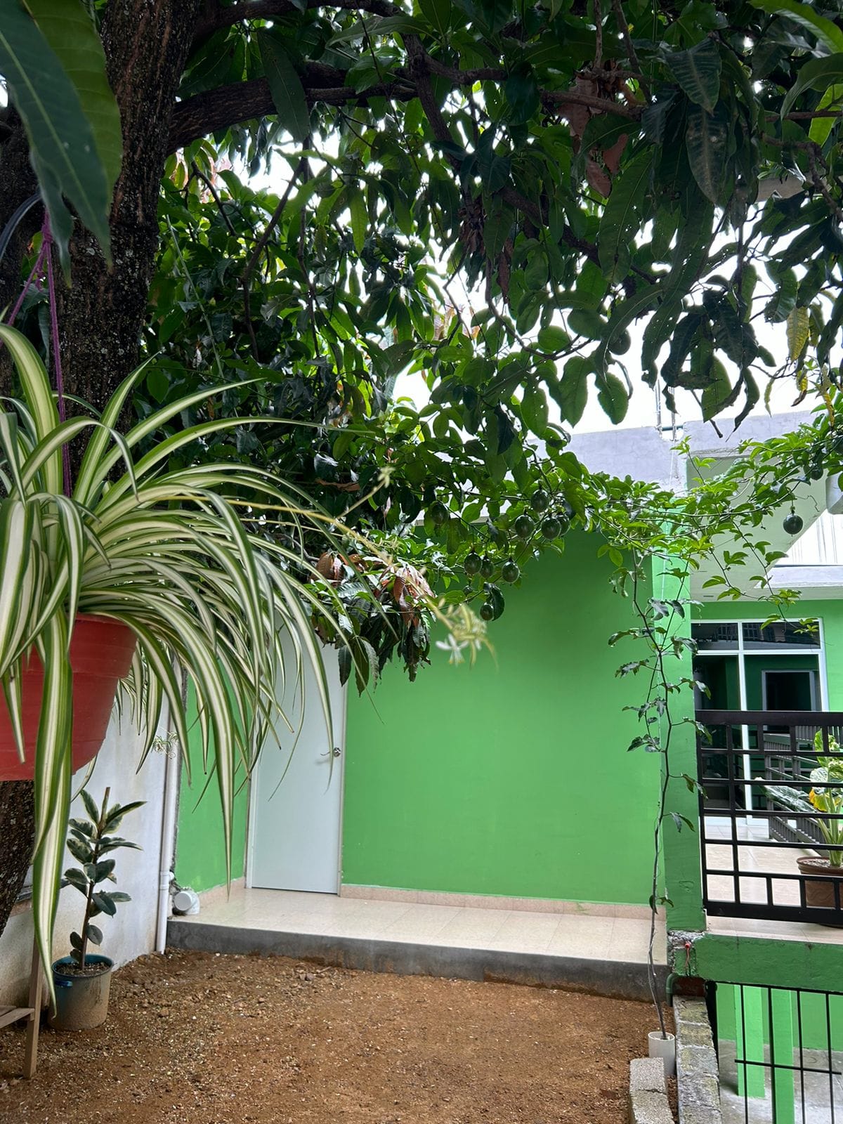 Casa Verde San Martín