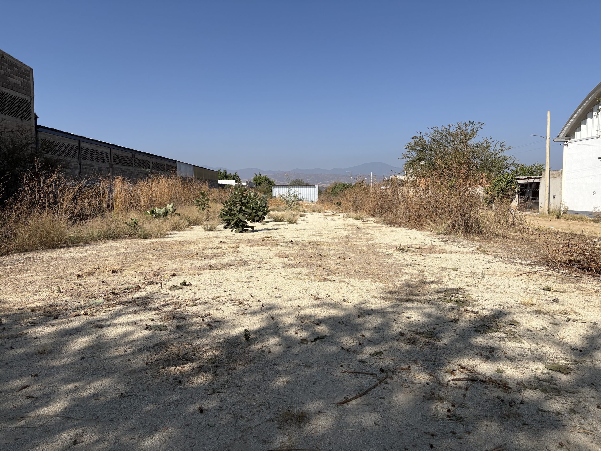 TERRENO SAN LORENZO
