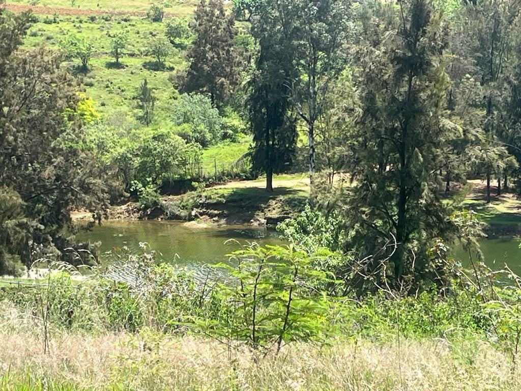 TERRENO LA PRESA