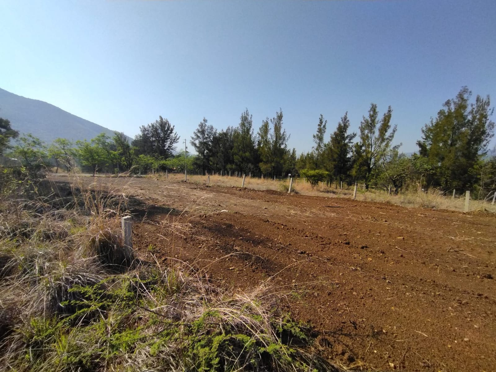 TERRENO PARQUE ECOLOGICO HUAYAPAM
