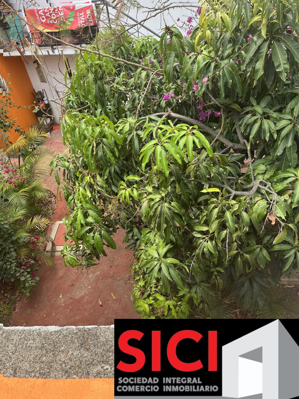 CASA PALMA EN VENTA
