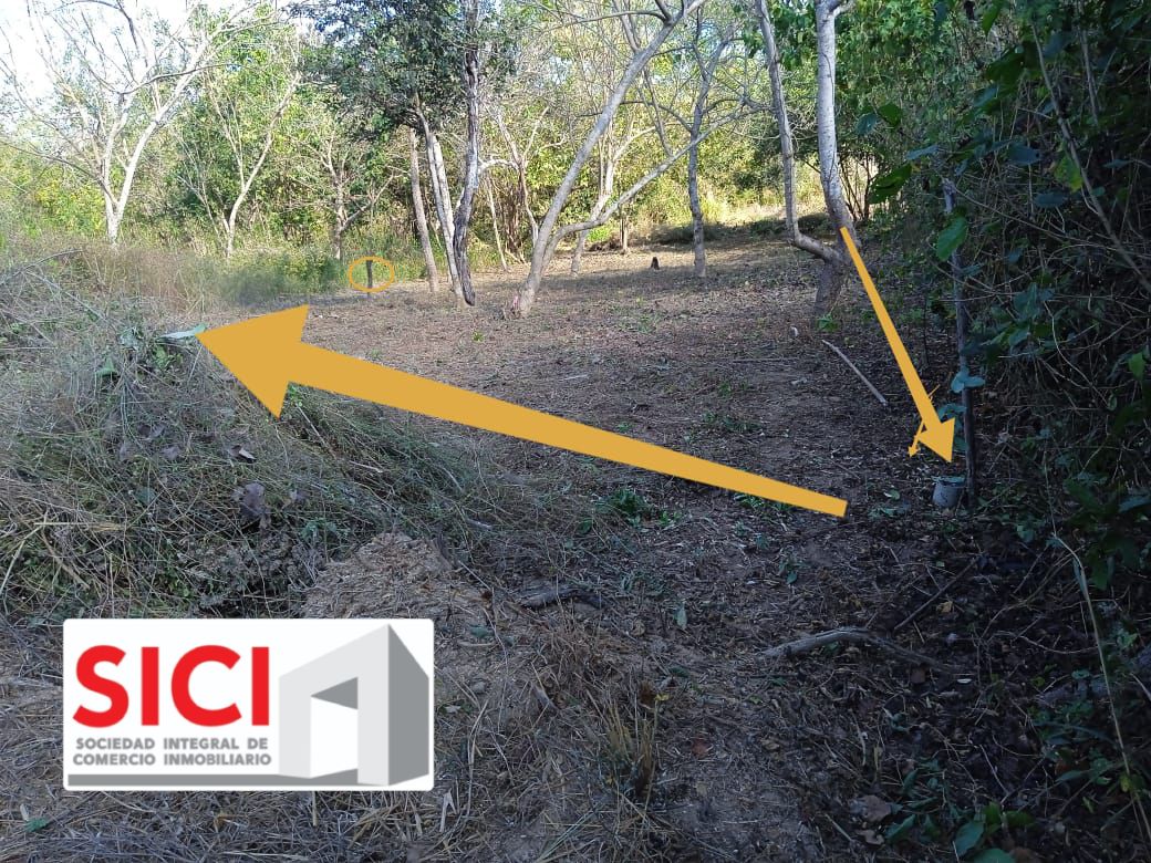 LOTE PALMAR, Santa María Tonameca