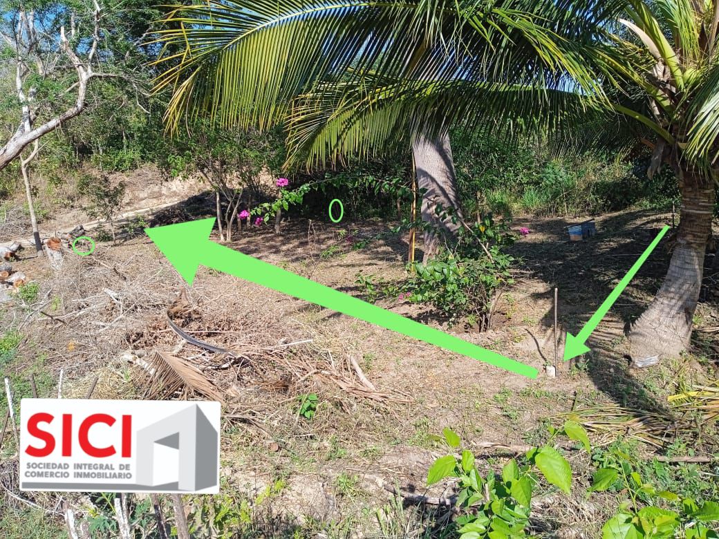 LOTE PALMAR, Santa María Tonameca