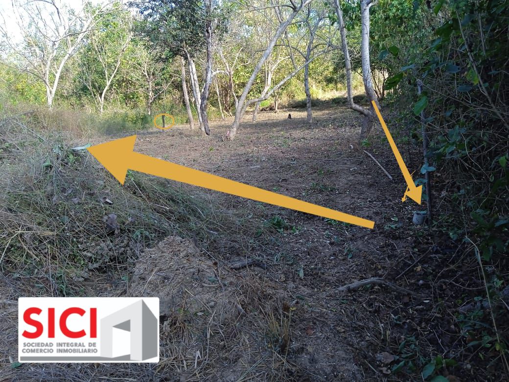 LOTE PALMAR, Santa María Tonameca