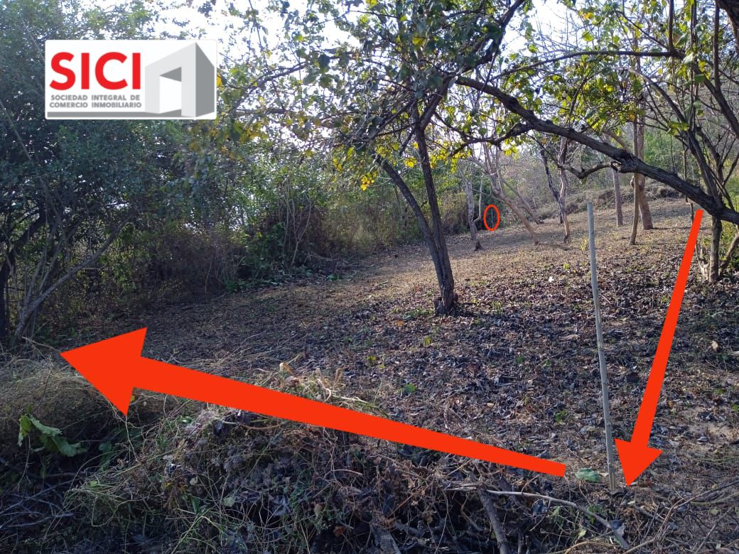 LOTE PALMAR, Santa María Tonameca