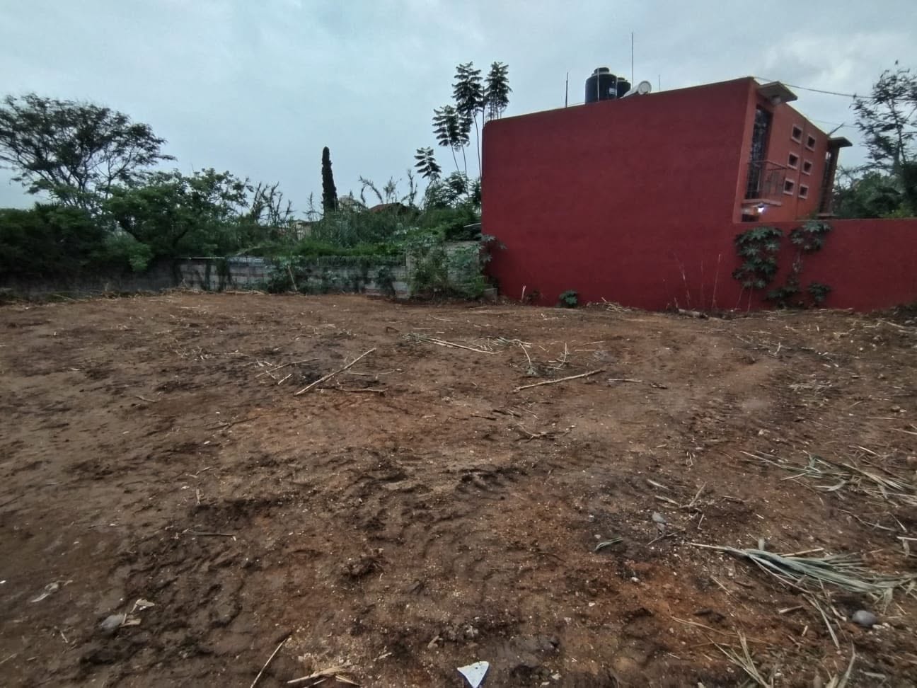 TERRENO BUGAMBILIAS
