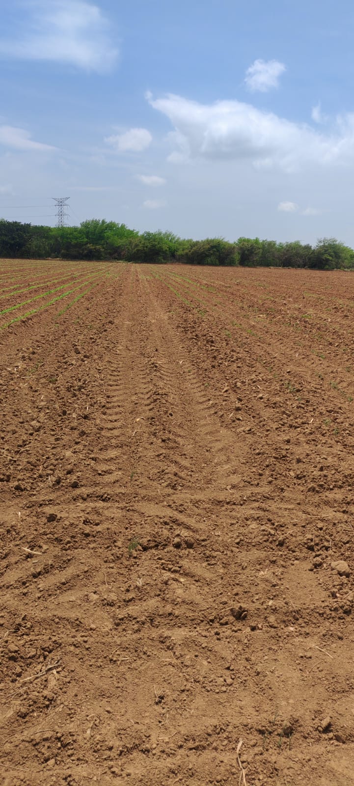 TERRENO EN SANTO DOMINGO INGENIO