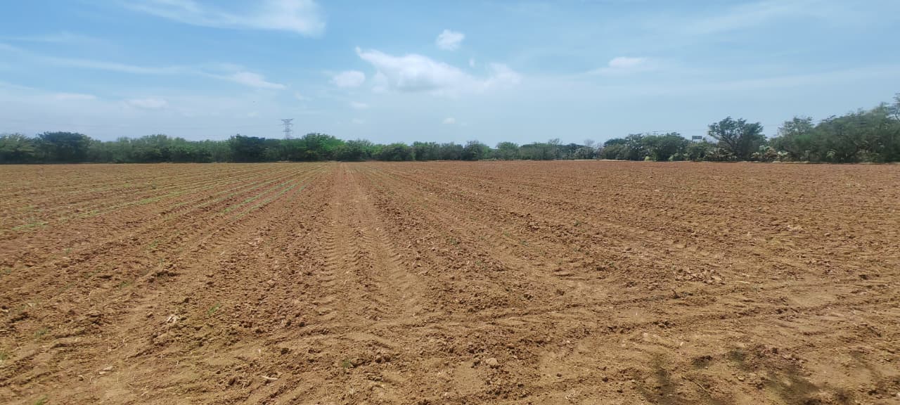 TERRENO EN SANTO DOMINGO INGENIO