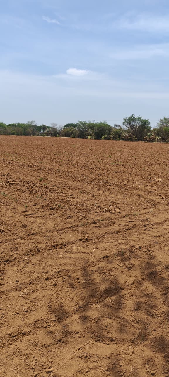 TERRENO EN SANTO DOMINGO INGENIO