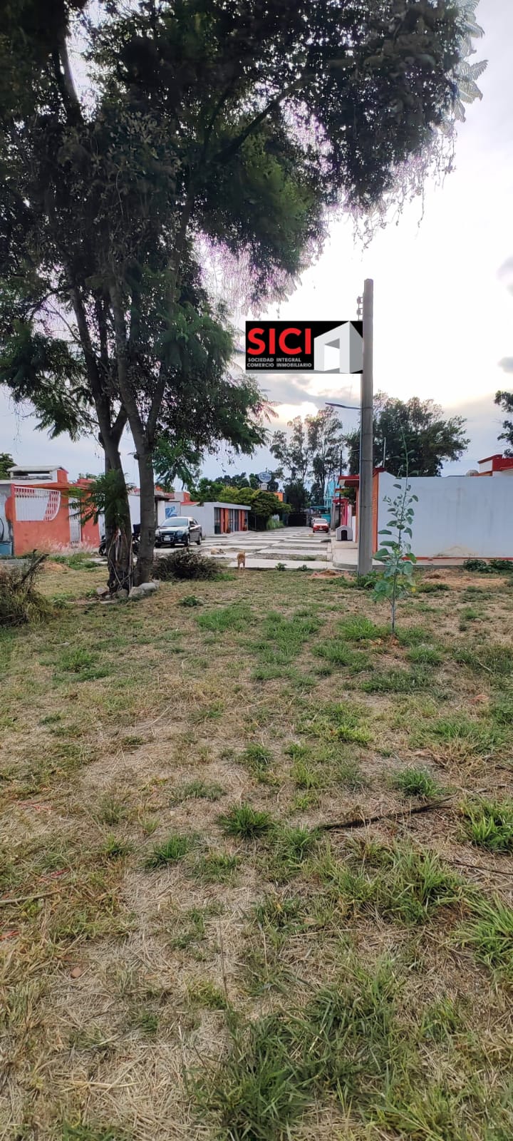 TERRENO EL ZAPOTAL