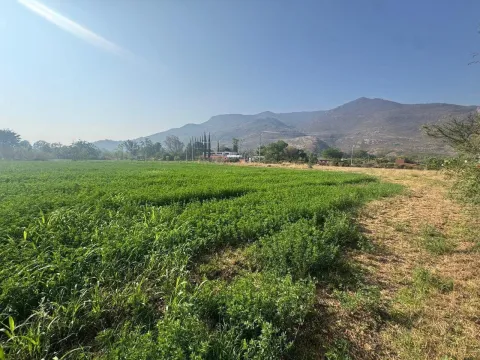 Lotes en Venta en Tlalixtac de Cabrera