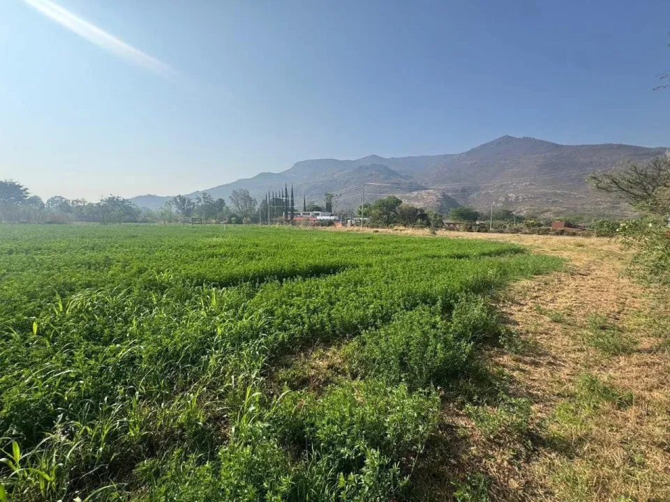 Lotes en Venta en Tlalixtac de Cabrera
