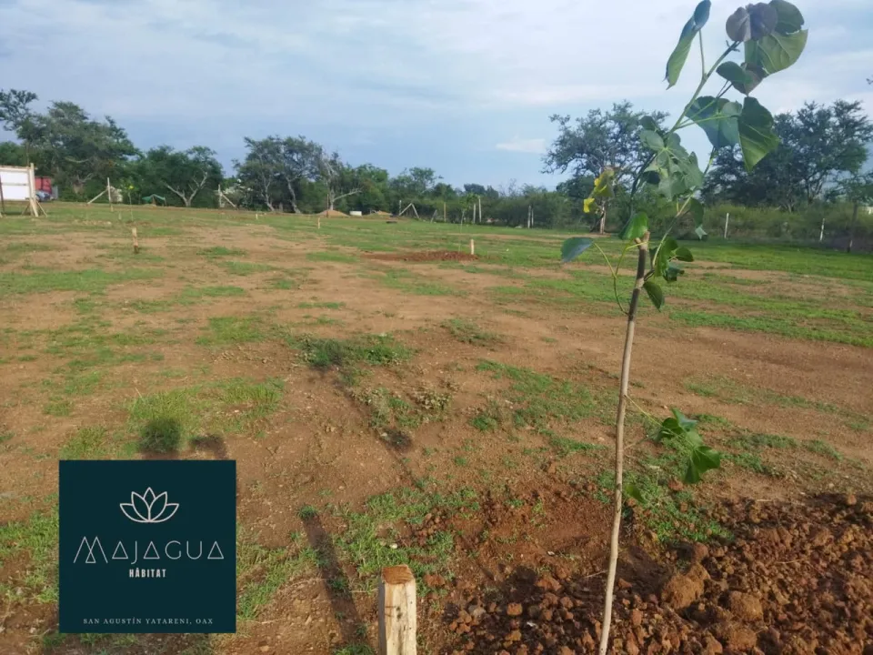 MAJAGUA RESIDENCIAL