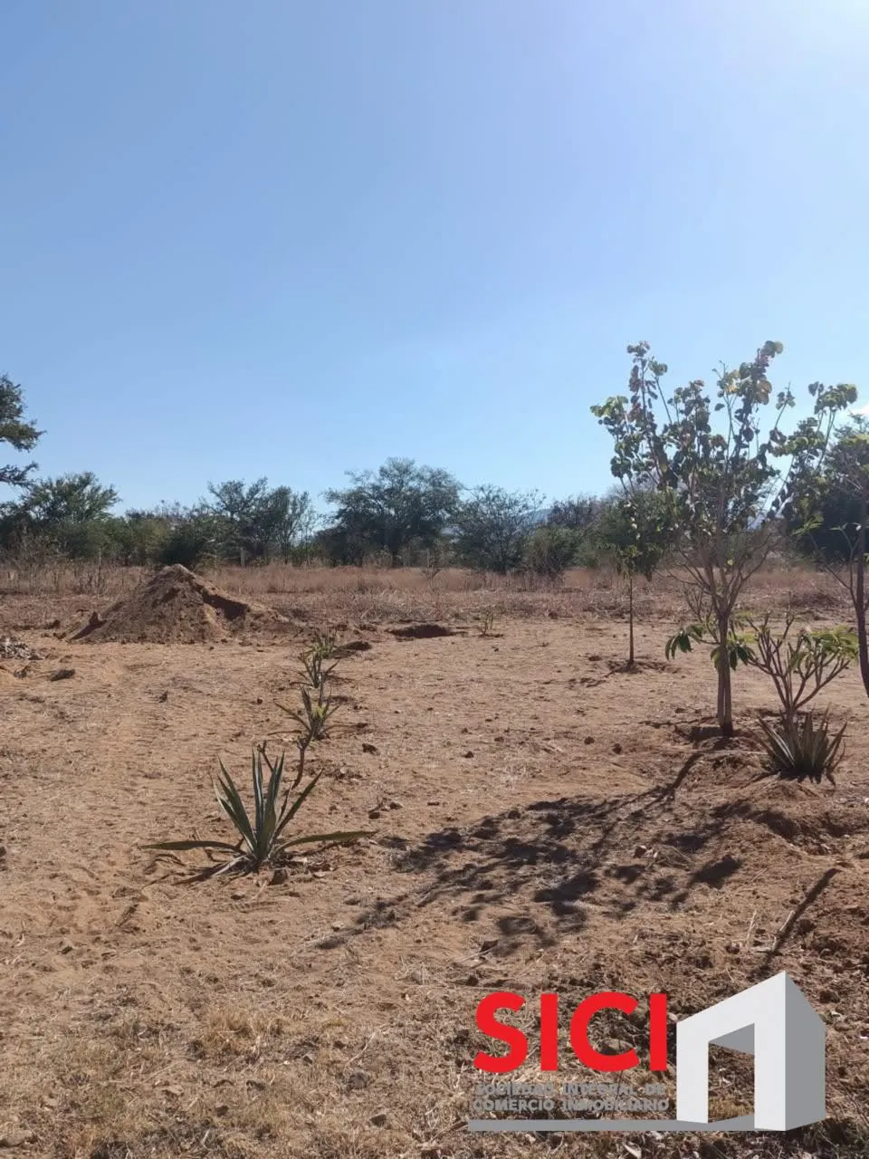 TERRENO EN VENTA EN CUILAPAM DE GUERRERO BARRIO LA TRINIDAD