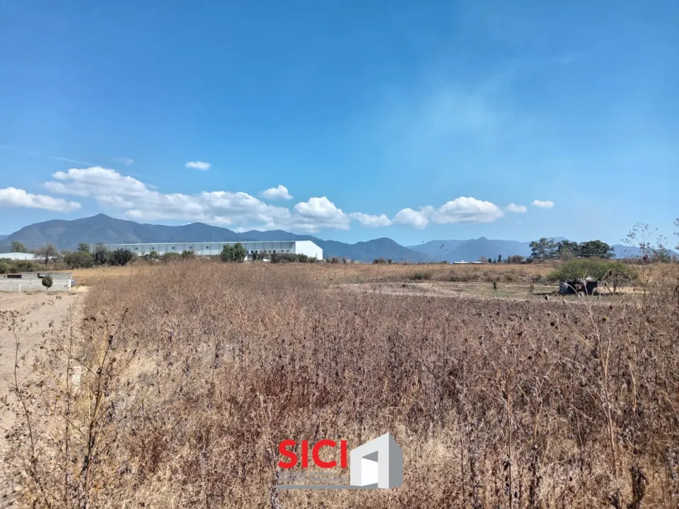 TERRENO EN VENTA EN MAGDALENA APASCO ETLA