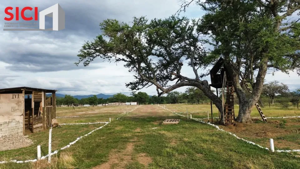 Macro lote MAJAGUA