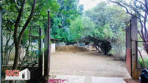 LOTE SAN FRANCISCO