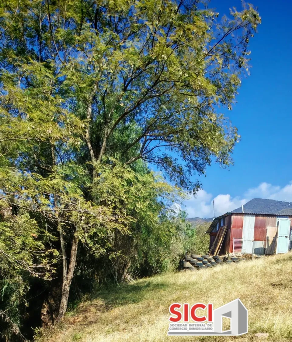 Terreno en venta en san Andrés hu
