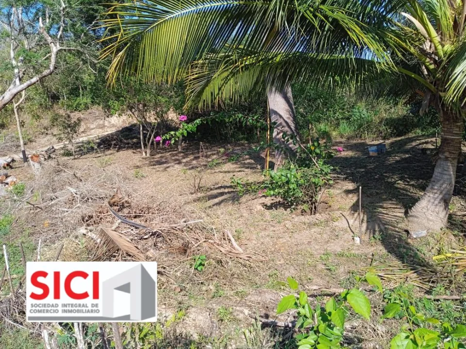 LOTE PALMAR, Santa María Tonameca