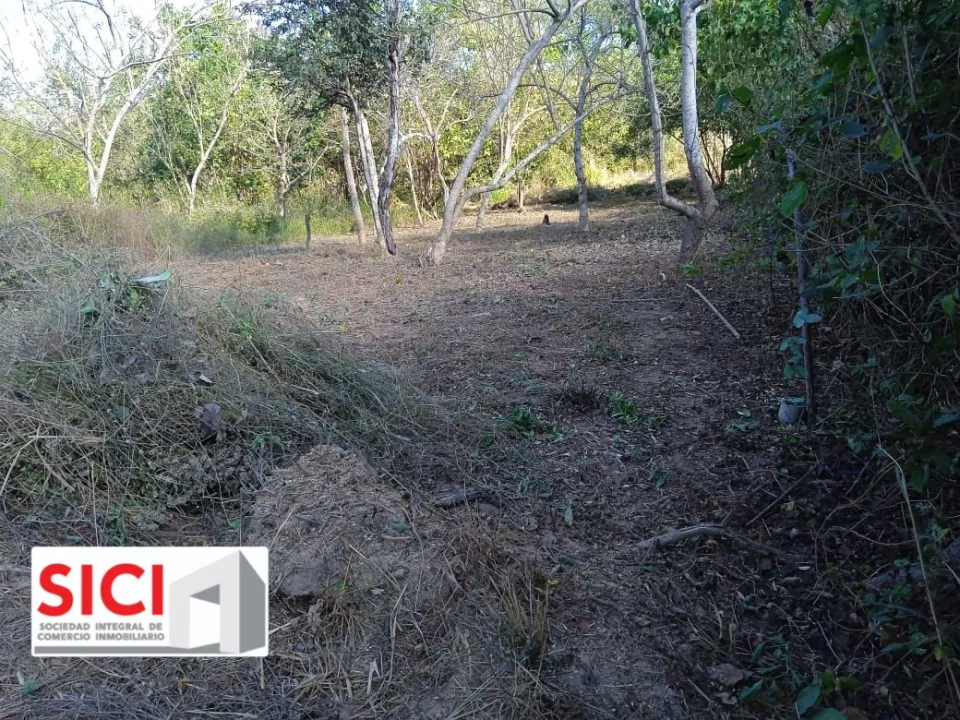 LOTE PALMAR, Santa María Tonameca