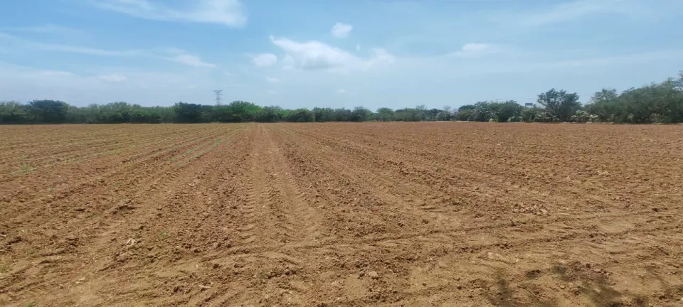 TERRENO EN SANTO DOMINGO INGENIO