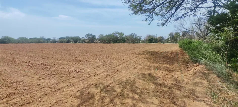 TERRENO EN SANTO DOMINGO INGENIO