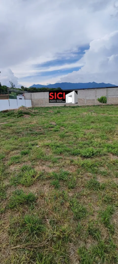 TERRENO EL ZAPOTAL