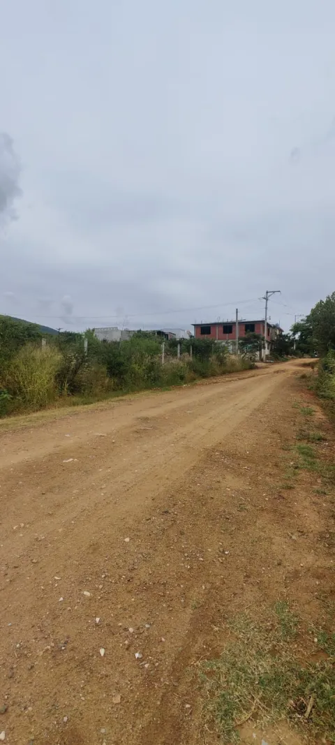 LOTES ENM LACHIGOLÓ