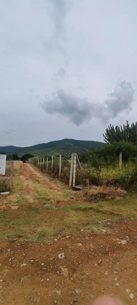 LOTES ENM LACHIGOLÓ